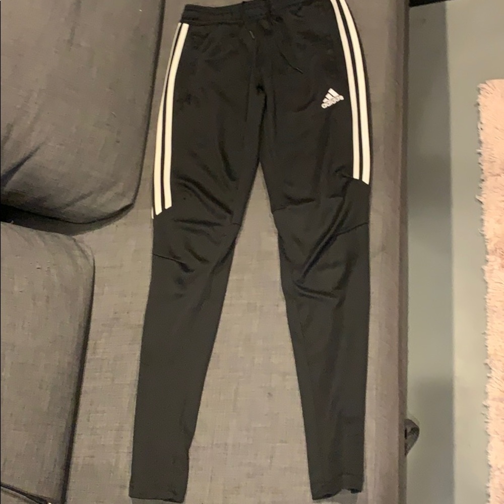 Adidas Track Pant